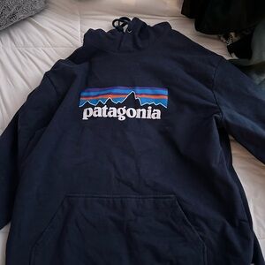 Patagonia Sweatshirt